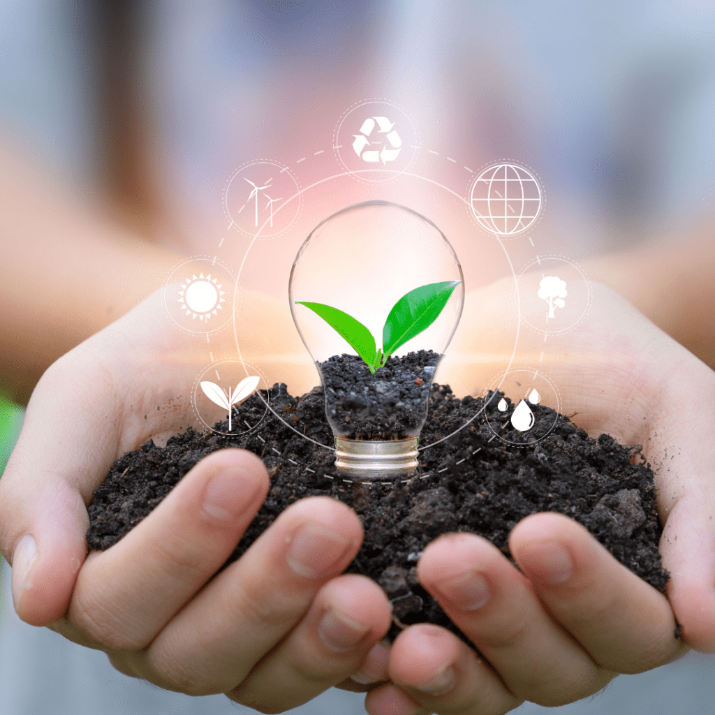 Evaluacion-de-impacto-ambiental-1024x1024