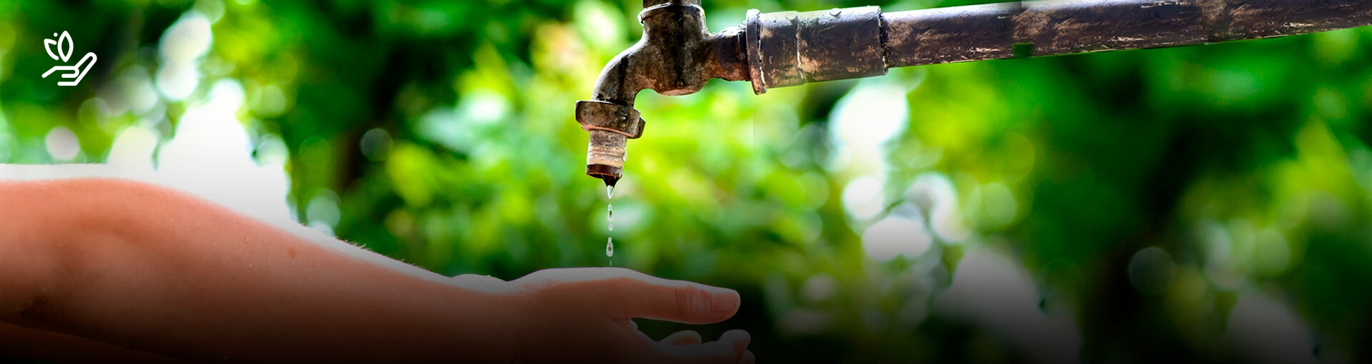 banner-sustentabilidad